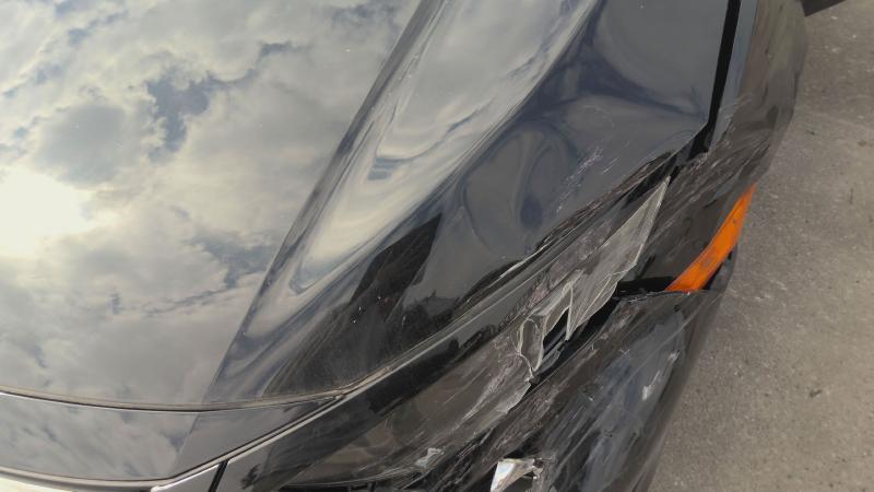 2020 HONDA CIVIC Hood