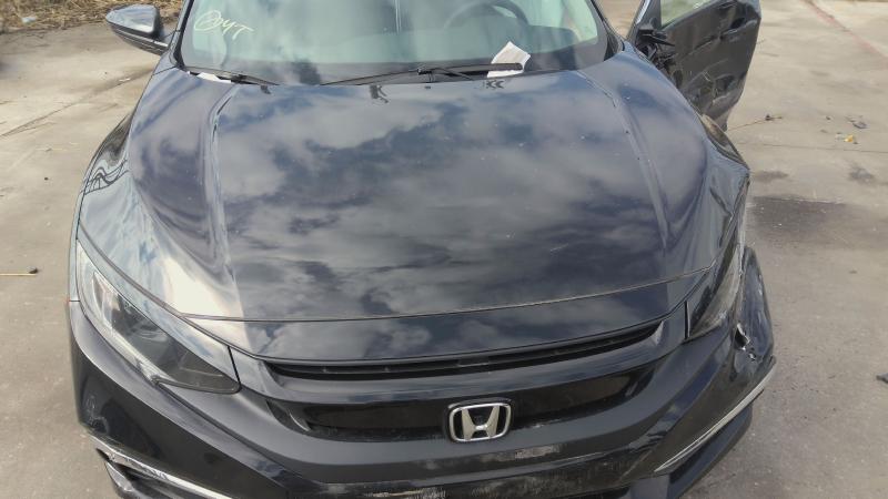 2020 HONDA CIVIC Hood - Image 2